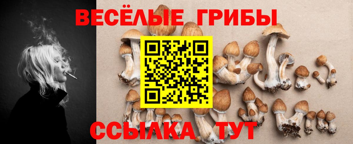 Галлюциногенные грибы мицелий  Вход с VPN  Кандалакша  Галлюциногенные грибы ЛСД 