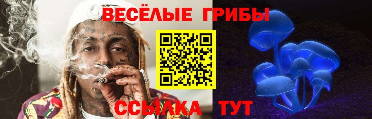 Галлюциногенные грибы GOLDEN TEACHER Кандалакша